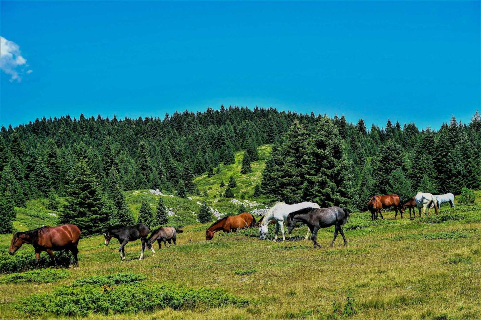 Апартаменты El Mirador De La Molina Ла-Молина Экстерьер фото